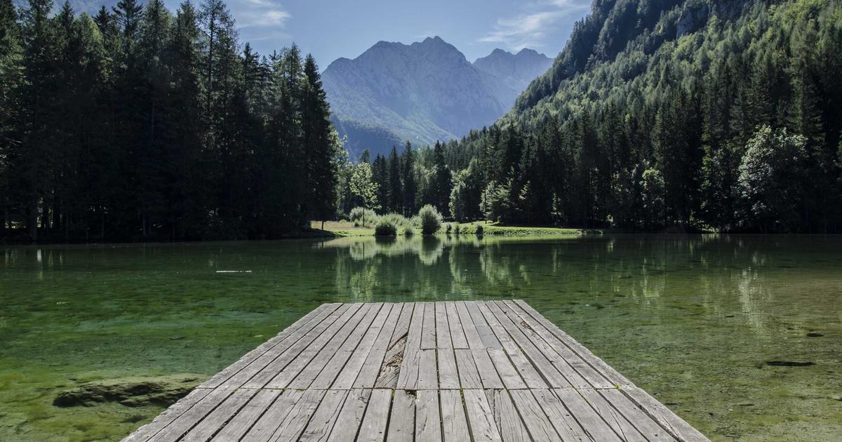 吹哨人爆料：Meta 和 TikTok 故意放任有害内容涨流量