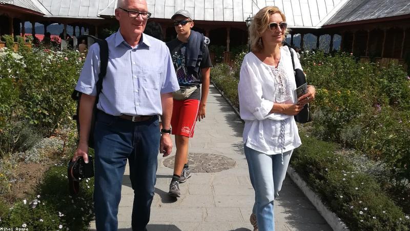 个人博客自动化运营：5个脚本让你效率翻倍